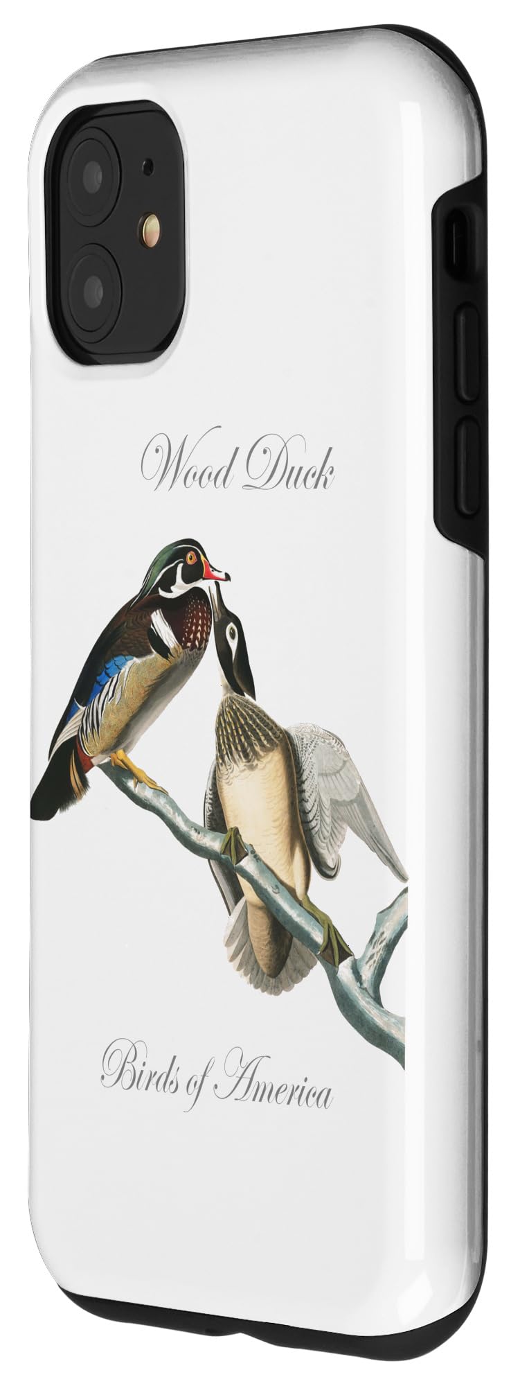 Premium iPhone 11 Wood Duck Case - Birds of America Series | Durable Protective Cover with Artistic Design | Perfect for Nature Lovers & Outdoor Enthusiasts