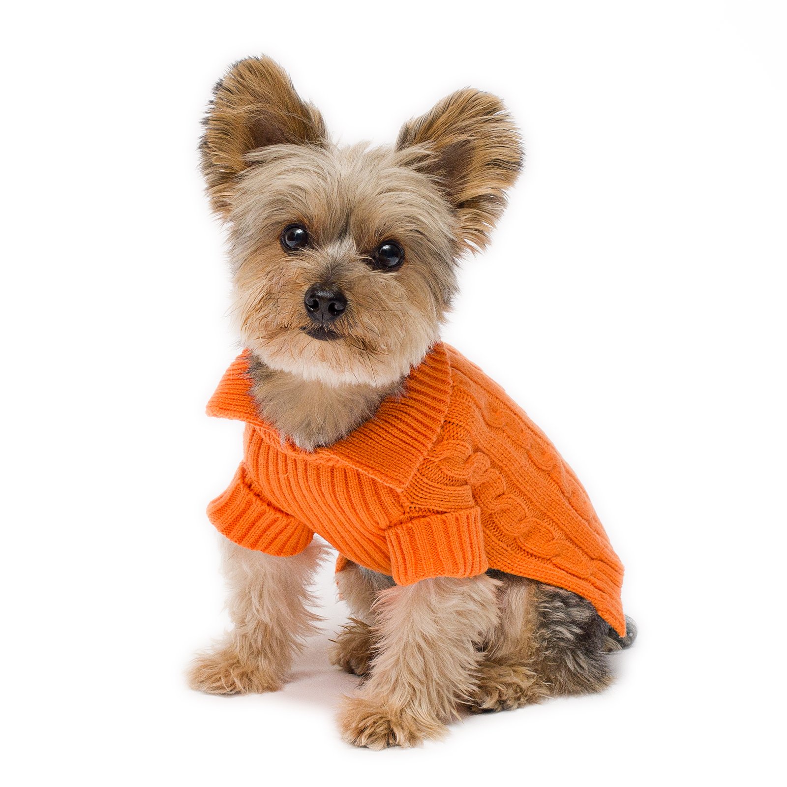 Premium Tangerine Aran Knit Dog Sweater - Size #10 Small for Small Breeds - Cozy Winter Wear for Dogs