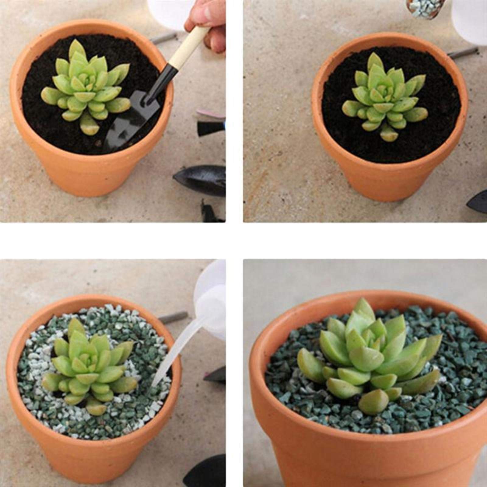 10/12/20pcs Red Terracotta Flower Pots with Drainage Holes - 3x3cm Small Clay Planters for Cacti, Succulents, Herbs - Perfect for Indoor Windowsill, Office Desk, and Garden Decor