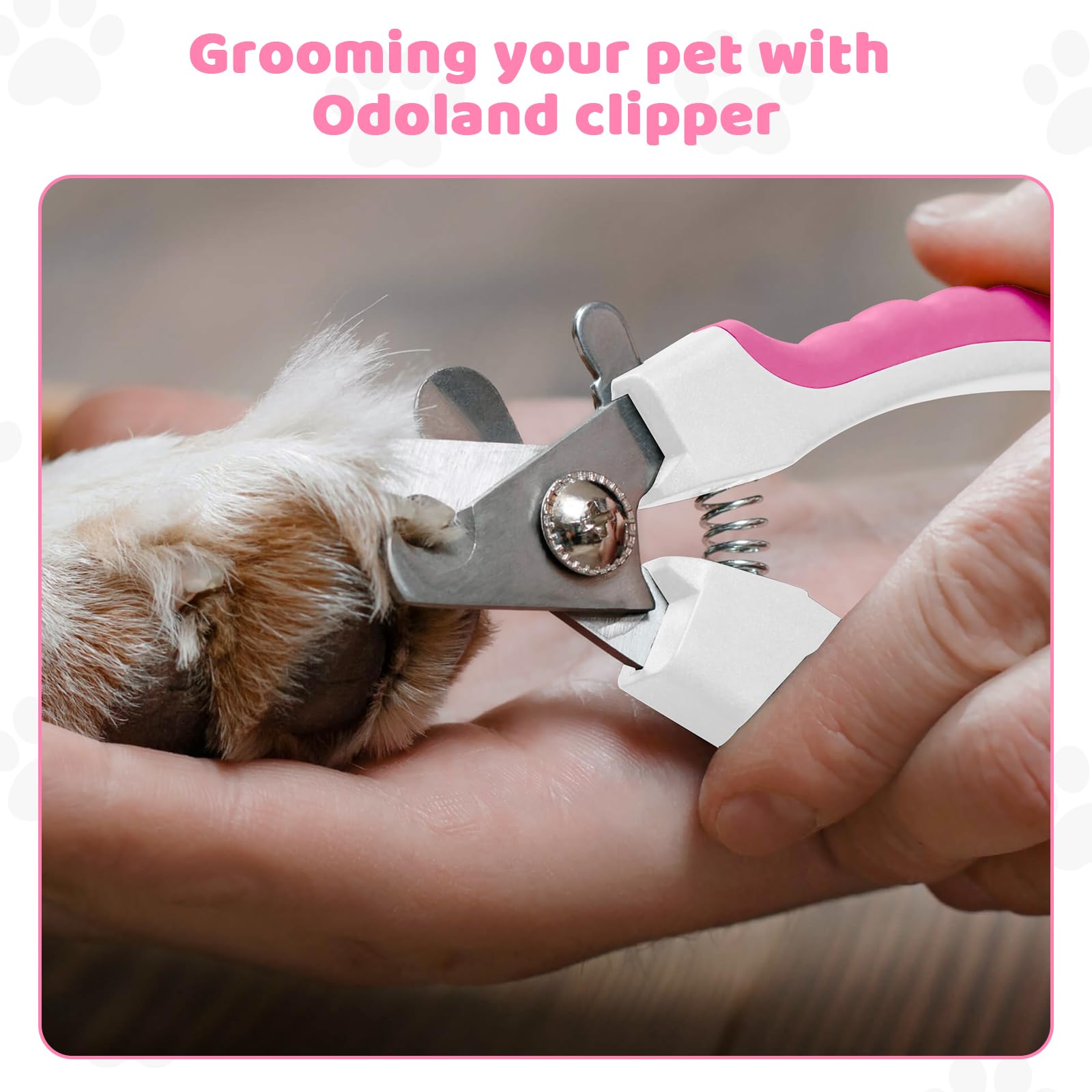 Odoland 6-in-1 Dog Grooming Kit - Slicker Brush, Undercoat Rake, Hair Removal Comb & Nail Clippers for Long Haired Dogs, Cats & Puppies | Pet Shedding Tool & Care Essentials for Home Grooming (Pink)
