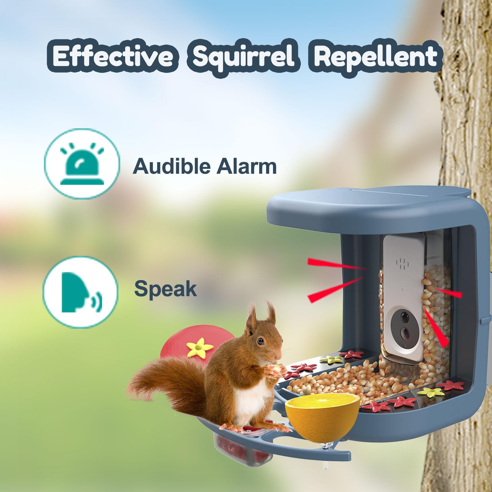 Smart Solar Powered Bird Feeder with 2K Camera - AI Bird Species Identification, Instant Alerts & DIY Add-ons - 2-in-1 Hummingbird Feeder Camera - Perfect Gift for Bird Watchers - Ideal for Backyard Birdwatching & Nature Observation
