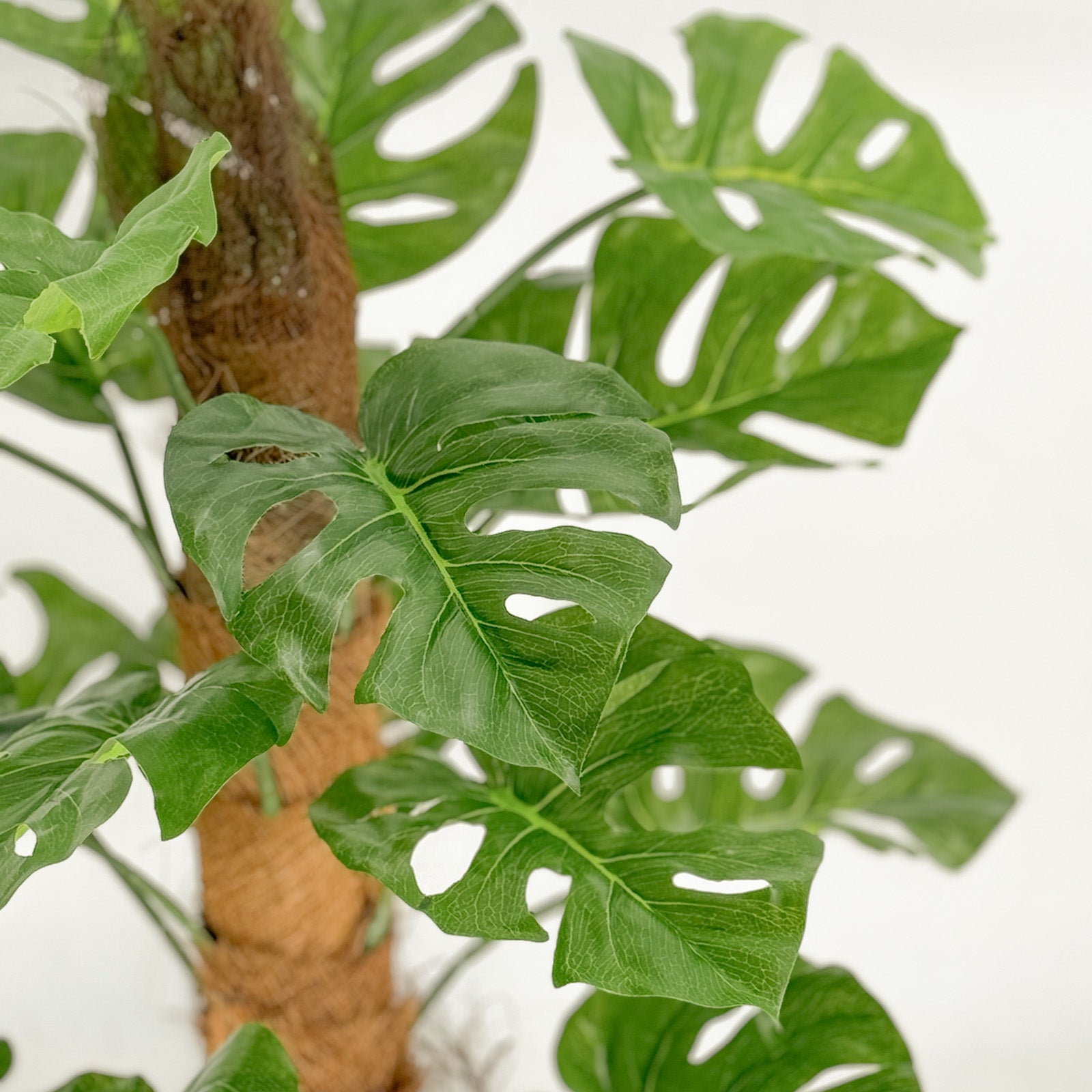 60cm Artificial Monstera Plant with Coconut Fiber Trunk - Realistic Fake Tropical Foliage for Home, Office & Indoor Decor