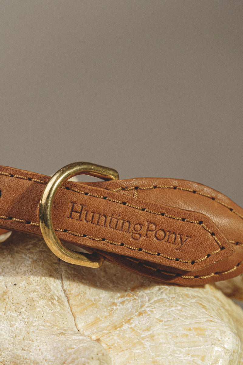 Premium Dog Walking Kit - Adjustable Country Leash & Soft Ginger Collar for Small & Medium Dogs - Perfect for Daily Walks, Hiking & Outdoor Adventures