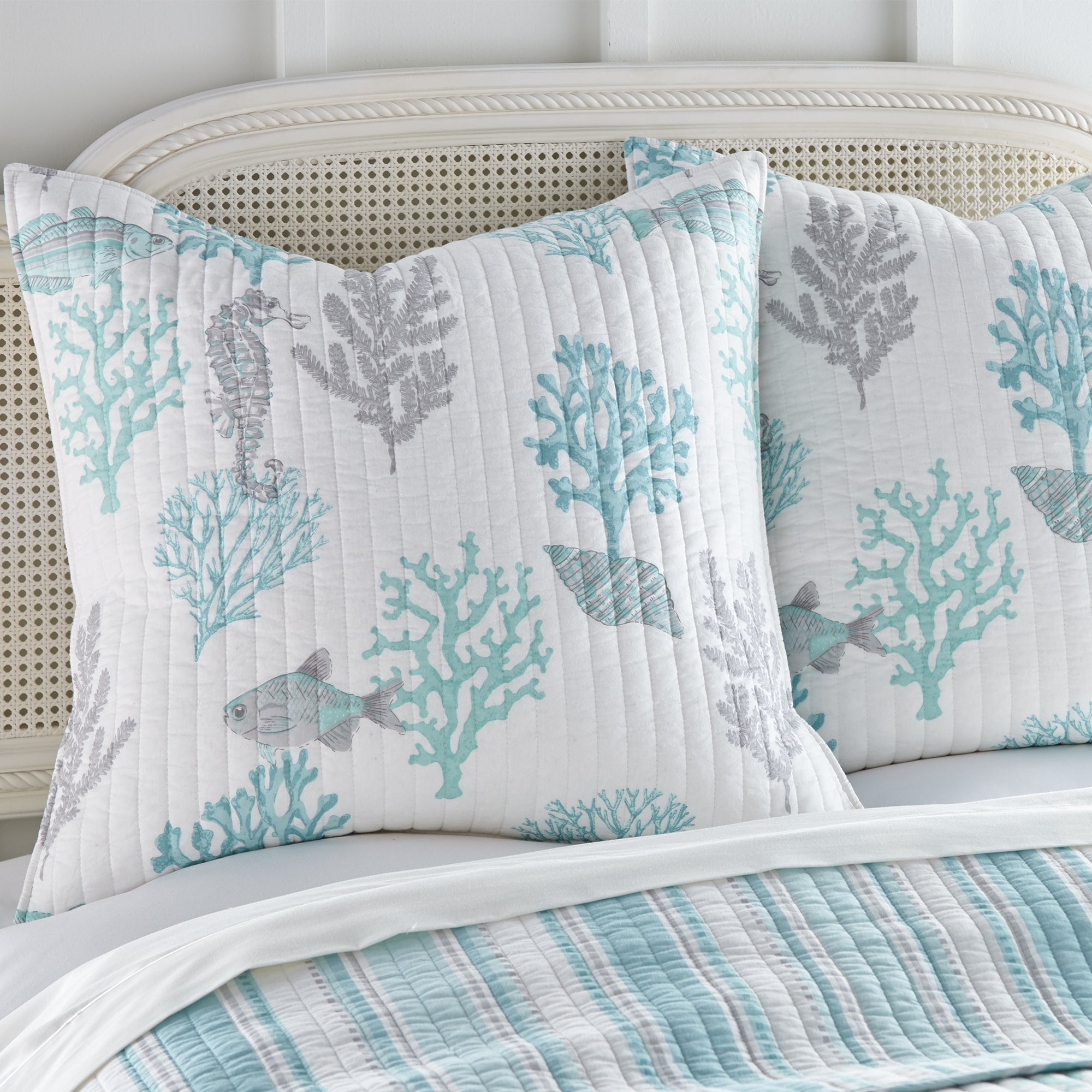 Premium Cape Coral Euro Shams Set of 2 - 100% Cotton Luxury Pillowcases for King/Queen Size Bed - Elegant Bedroom Decor & Hotel Style Home Upgrade