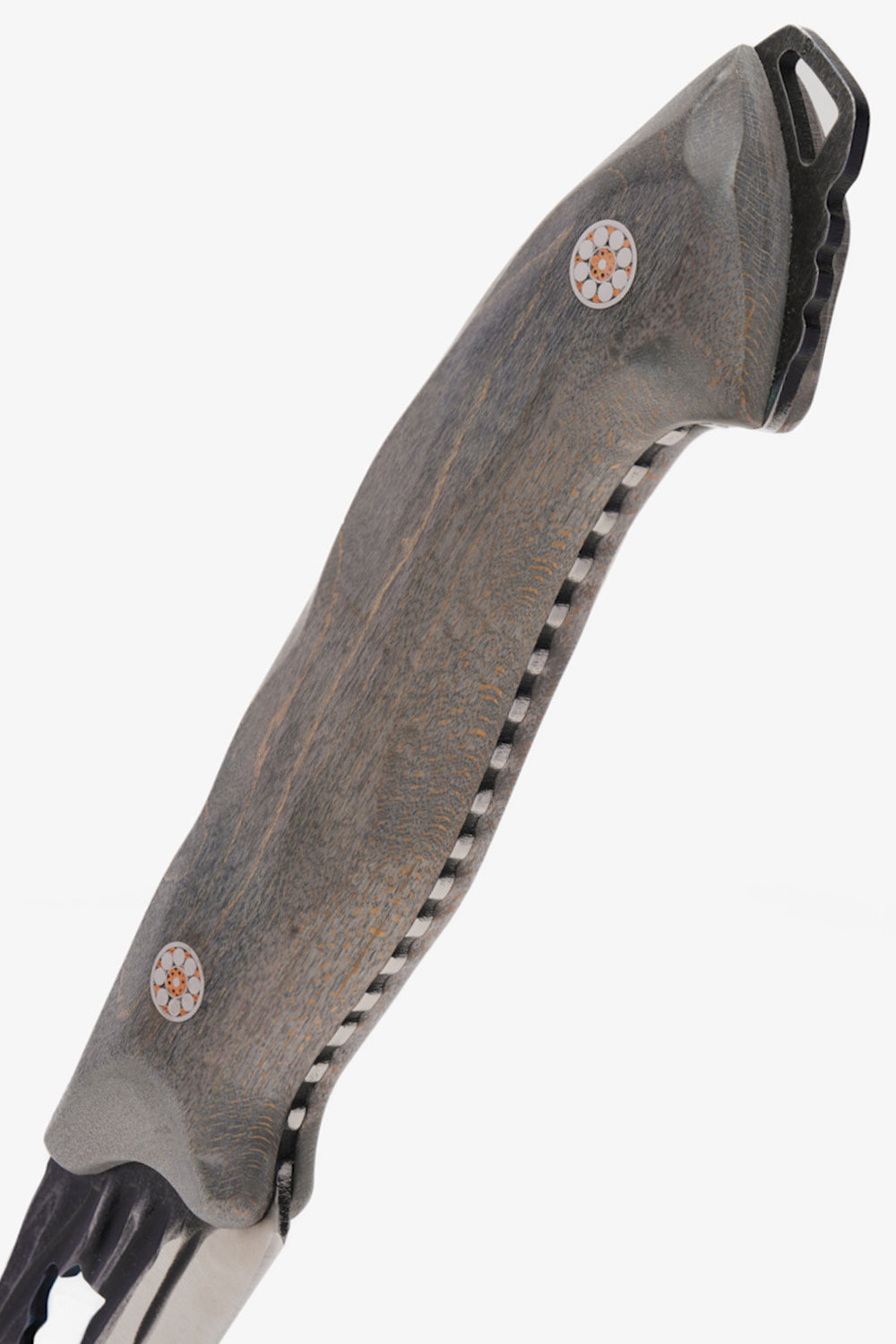 Dalstrong Barbarian Series 6