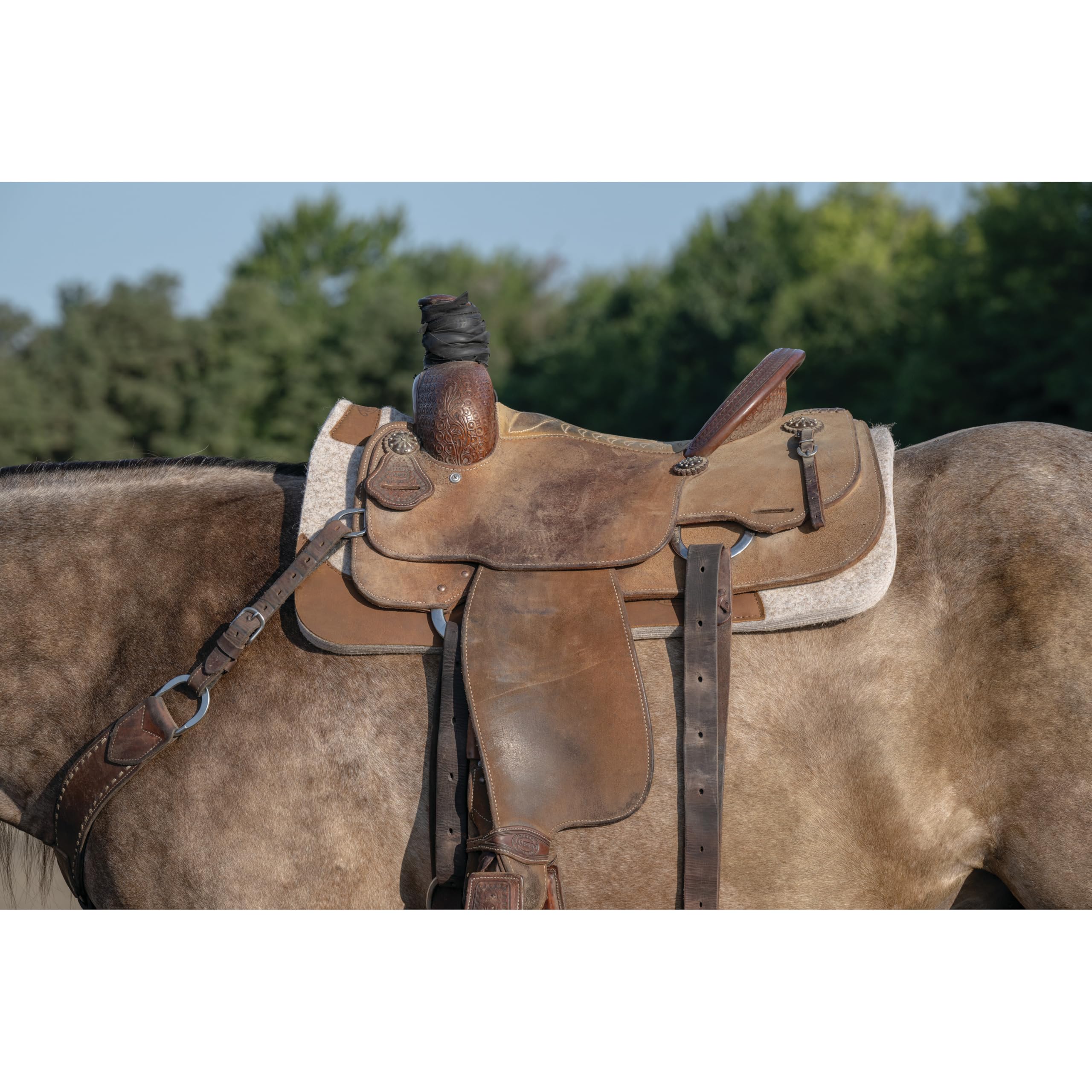 Weaver Equine 33