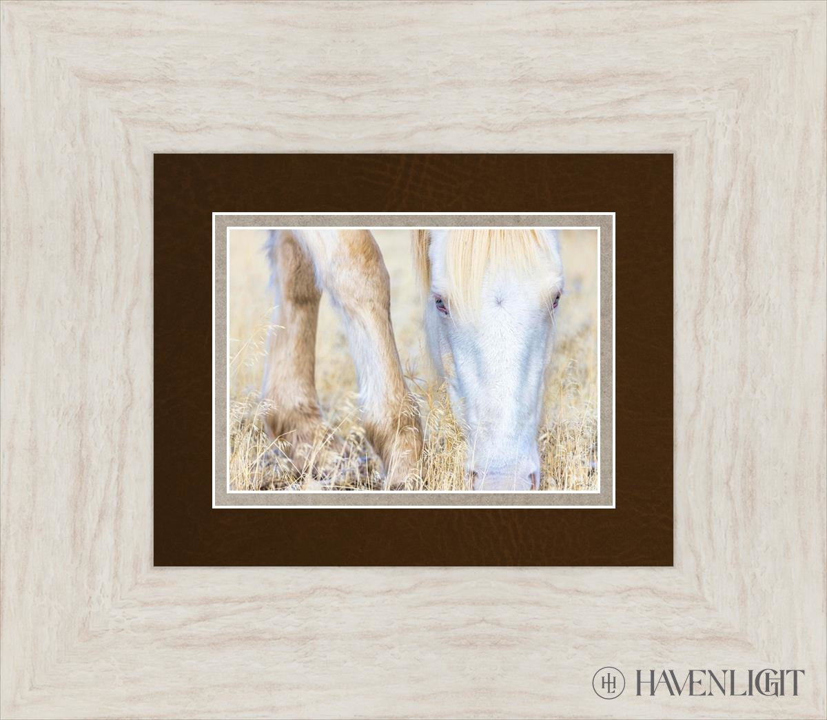 Dry Grass by Greg Sargent - Premium Handcrafted Home Decor for Rustic & Farmhouse Style - Perfect for Wall Art, Shelf Displays & Cozy Living Room Decor