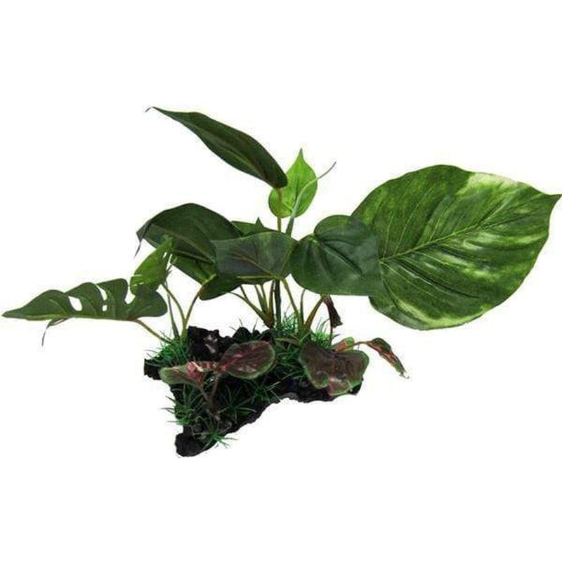 Amazon Jungle Giant Monsterio on Log 15cm - Realistic Dinosaur Toy Figure for Kids, Collectors & Diorama Scenes | Perfect for Playtime, Birthday Gifts & Educational Learning