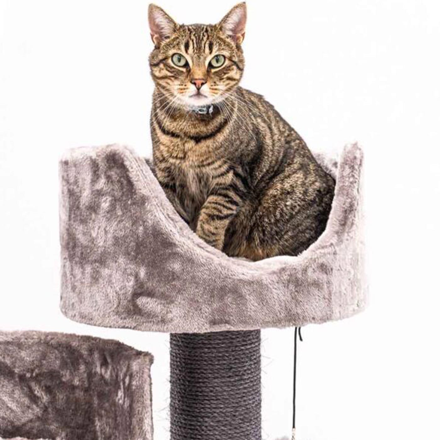 Kings & Queens Victoria 125cm Cat Tree - Premium Tall Cat Tower with Scratching Posts & Perches for Indoor Cats - Perfect for Play, Rest & Climbing in Home or Apartment