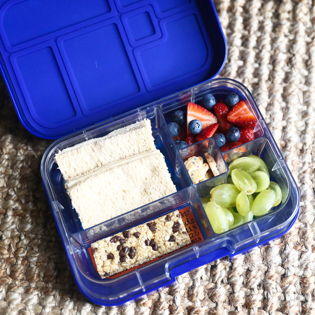 Munchbox Midi 5-Tray Clear Food Storage Container - Perfect for Meal Prep, Snack Organization & Lunch Box Storage