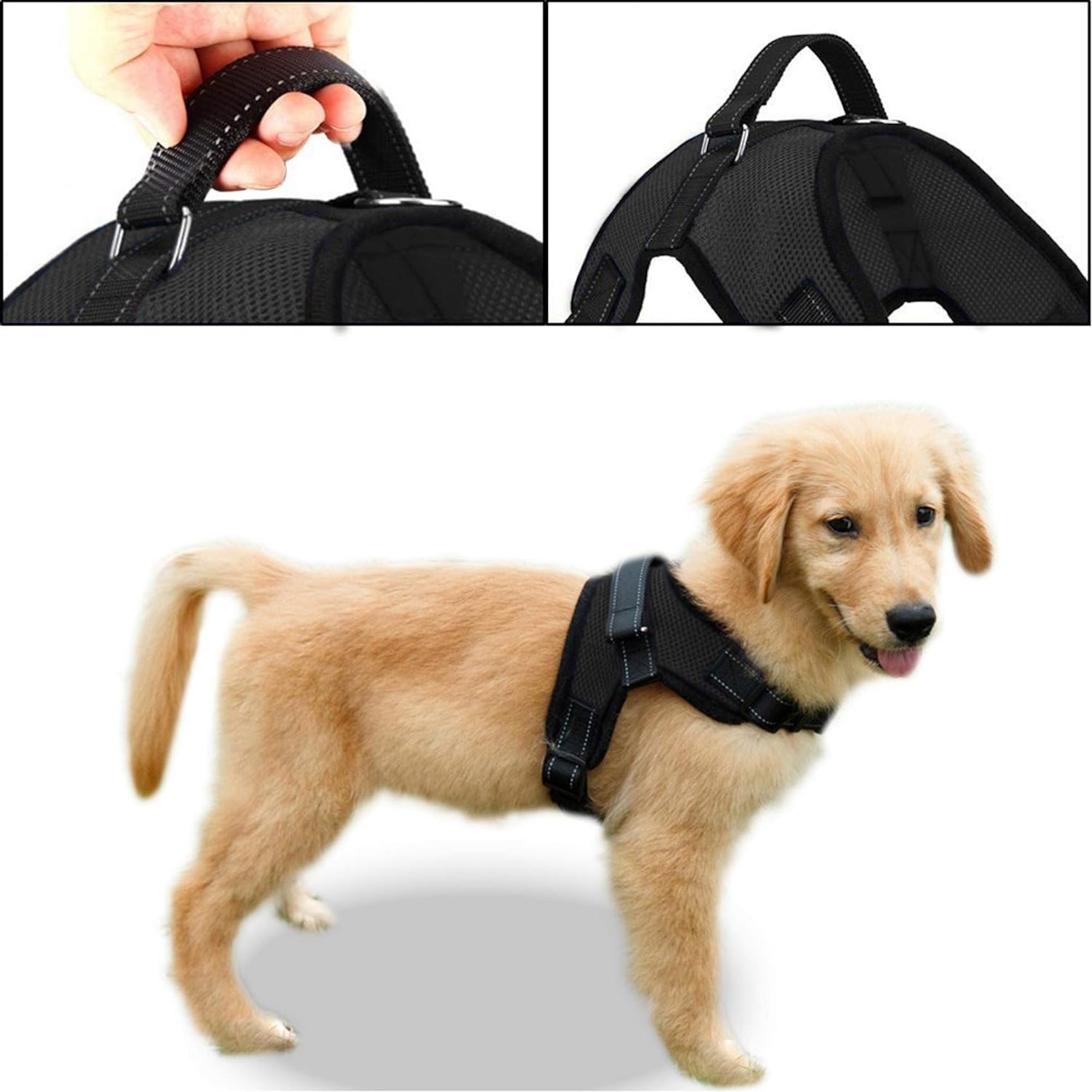 No Pull Reflective Adjustable Dog Harness with Handle - Soft Breathable Mesh for Small Medium Large Dogs - All Weather Comfort for Walking Running Hiking (Black, XX-Small)