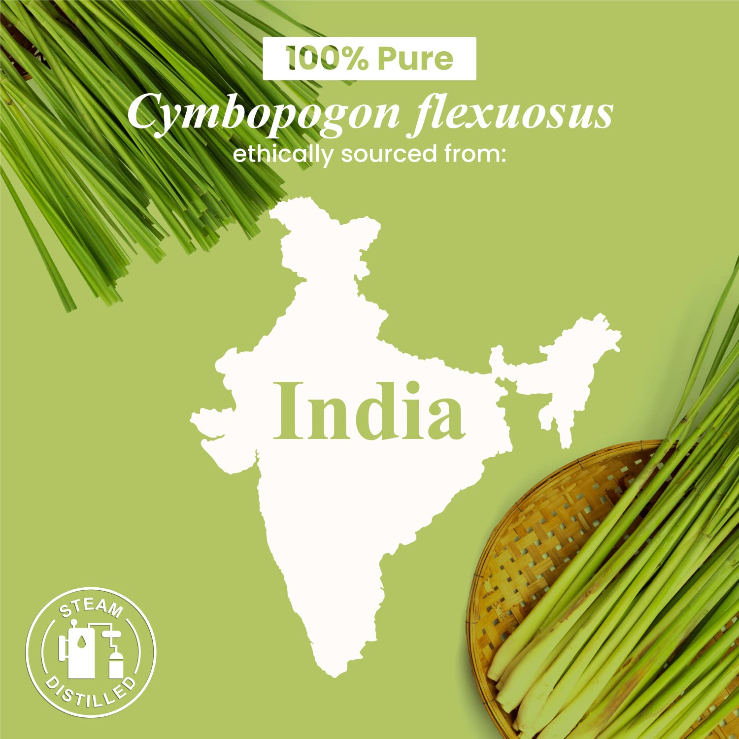 **Organic Lemongrass Essential Oil - 100% Pure & Natural - 0.33 Fl Oz - Premium Grade for Diffusers, Aromatherapy & Massage - Relaxation, Stress Relief & Mood Boosting**