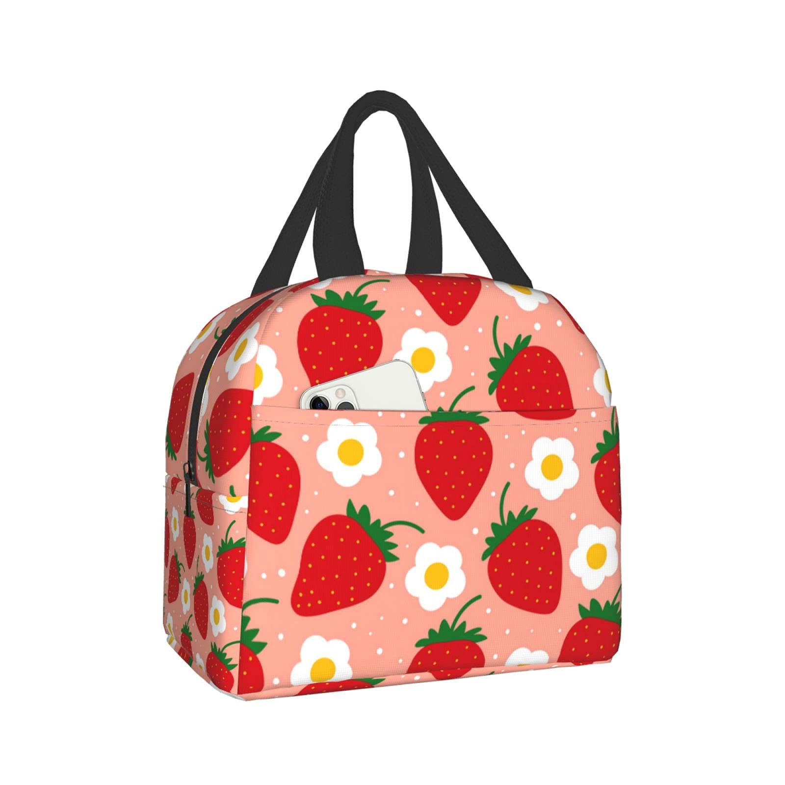 Insulated Reusable Lunch Box & Picnic Bag - Durable Waterproof Shopping Tote for School, Work, Travel - Perfect for Men, Women, Boys & Girls - Great for Outdoor Picnics, Beach Trips and Daily Commute