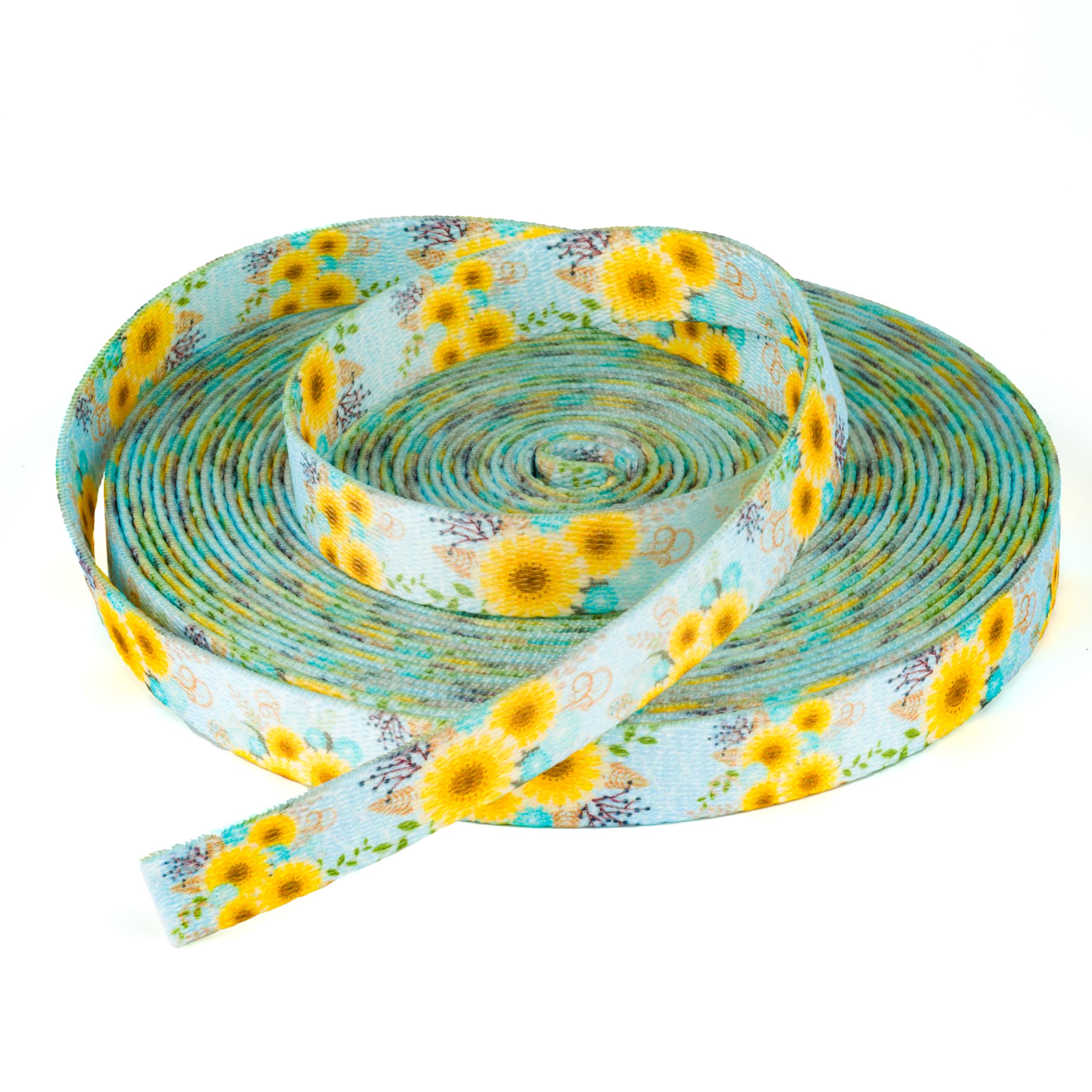Country Brook Design - Sunny Days Polyester Webbing Dog Leash | Durable & Colorful Pet Accessory for Walking, Hiking & Outdoor Adventures
