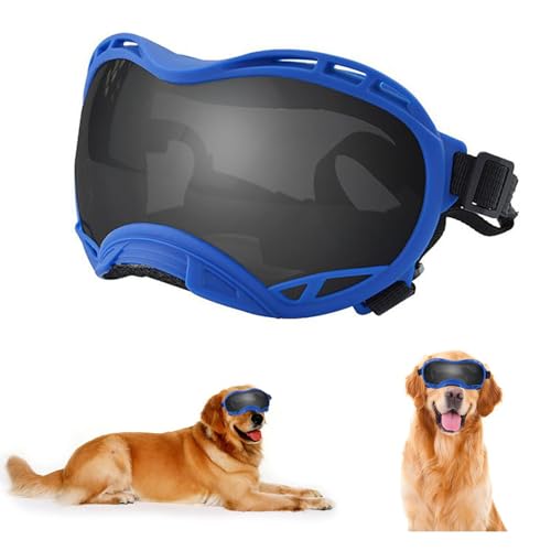 Bule Frame &Gray Lens/Large