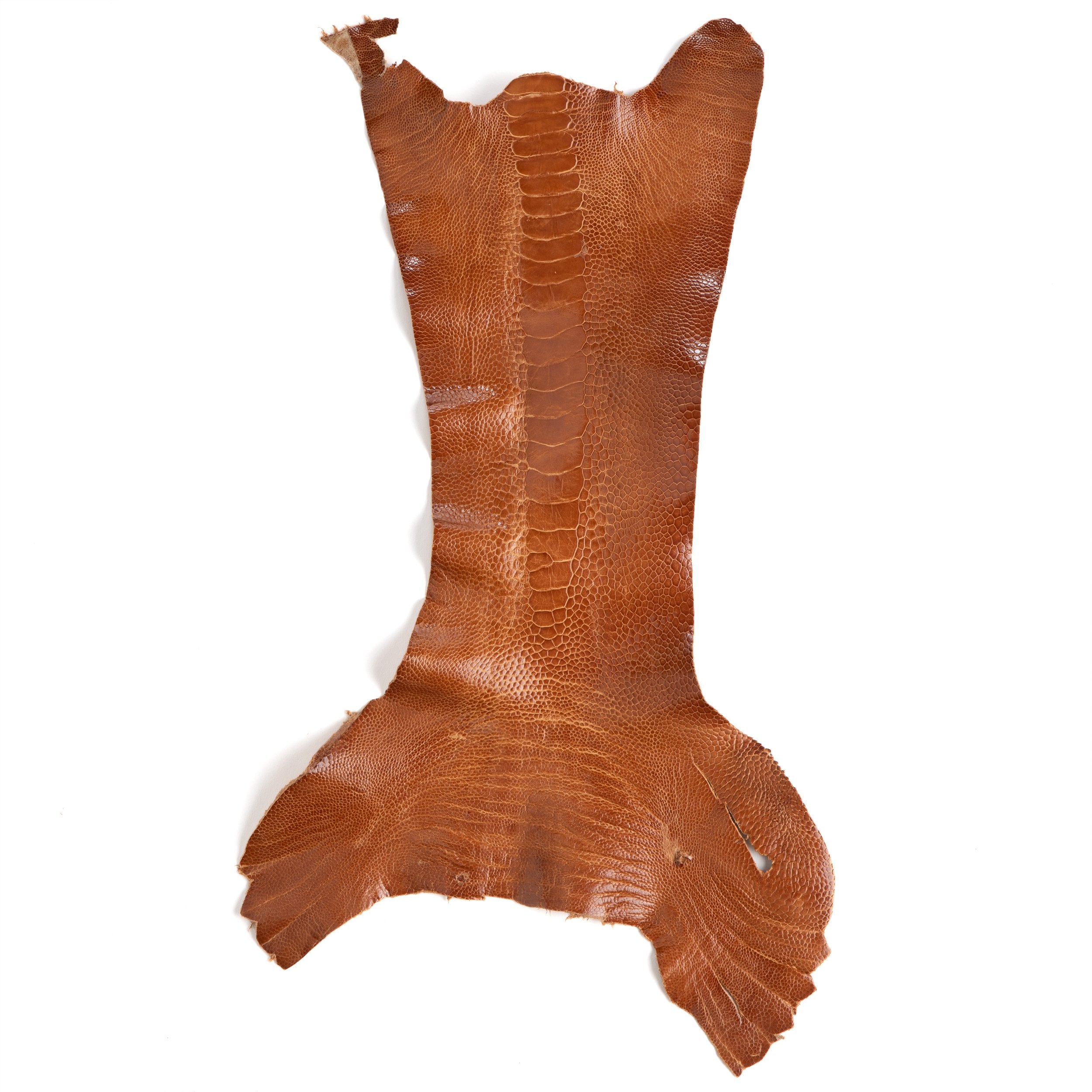 Premium Ostrich Legs for Sale - High-Quality Exotic Meat for Gourmet Cooking & BBQ | Perfect for Grilling, Roasting, and Specialty Dishes