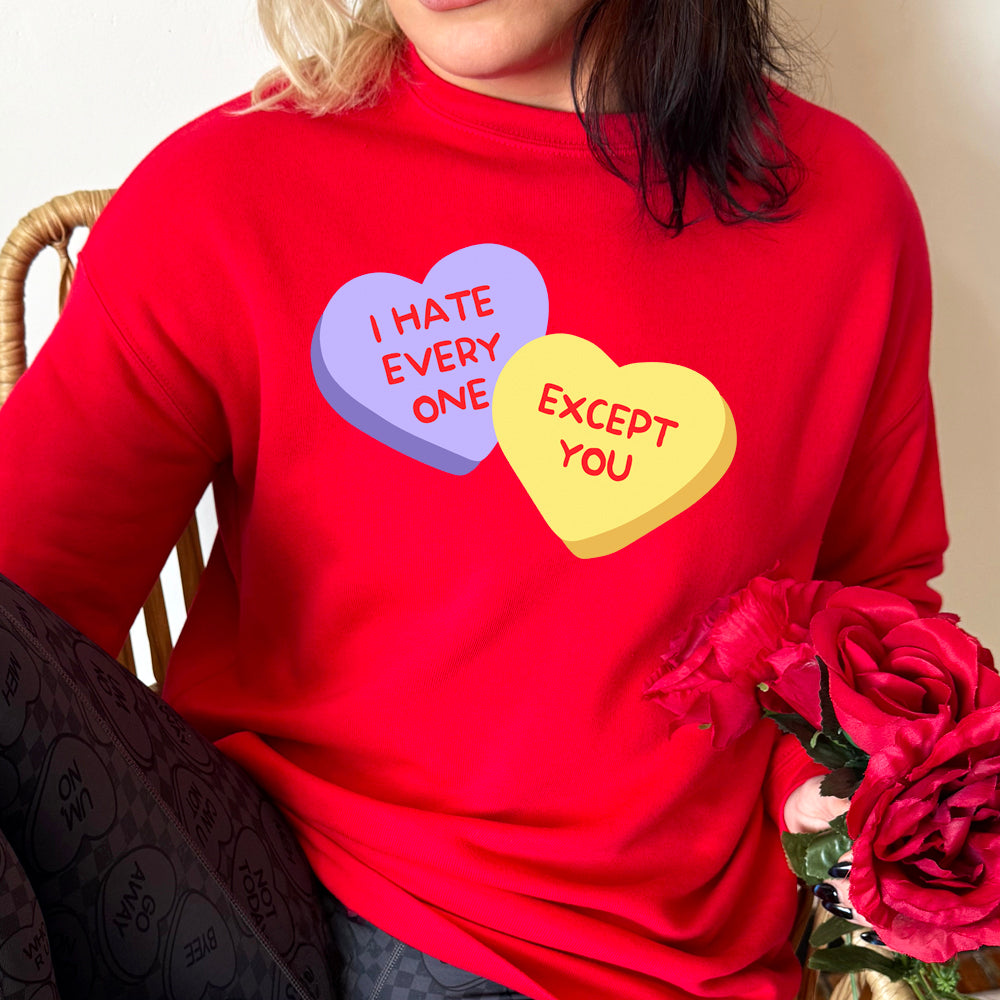 I Hate Everyone Except You Crew Neck Sweatshirt - Funny Sarcastic Graphic Pullover for Women & Men - Perfect for Casual Wear, Gifts, and Everyday Outfits