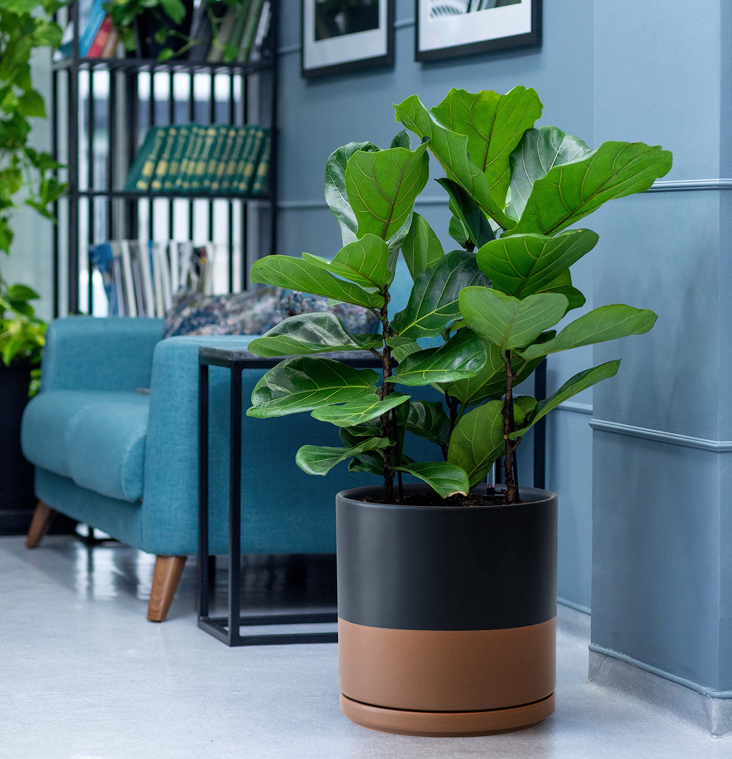 8 Inch & 10 Inch Ceramic Plant Pots with Drainage Hole and Saucer - Large Flower Planters for Indoor Outdoor Home Garden Decor (Black/Speckled Tan) - Perfect for Succulents, Herbs, and Houseplants