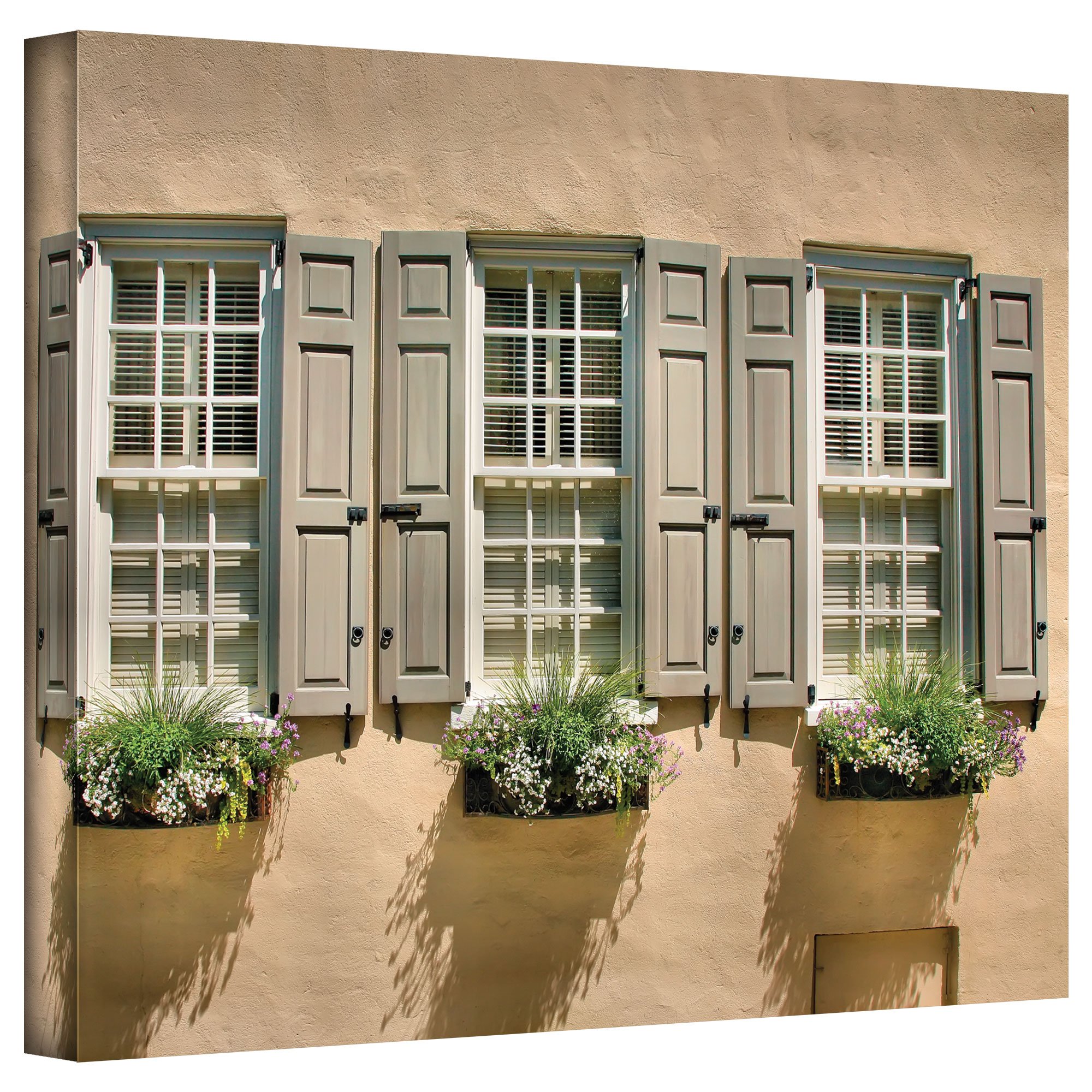 Windows of Old Charleston