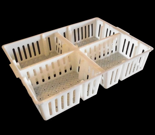 Rite Farm Products Poultry Chick Sorting Box - Heavy Duty Plastic Chick Basket for Baby Chicks, Ducklings & Poults - Perfect for Hatcheries, Farms & Poultry Breeding (12