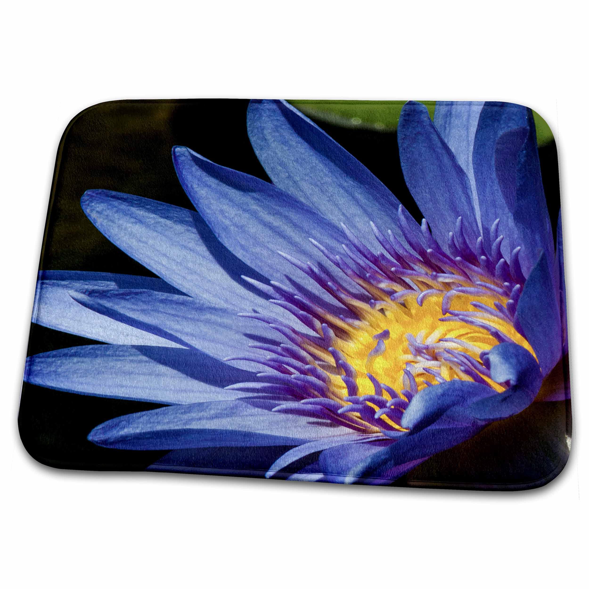 3D Printed Blue Water Lily Bath Rug Mat - Non-Slip Soft Microfiber Bathroom Floor Mat for Shower, Tub & Vanity - Kauai Hawaii Inspired Floral Design (24