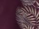 Deep Purple Leaf