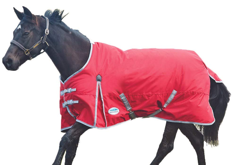 WeatherBeeta Comfitec Classic Standard Neck Horse Blanket Medium - Waterproof Turnout Rug for Stable & Outdoor Riding