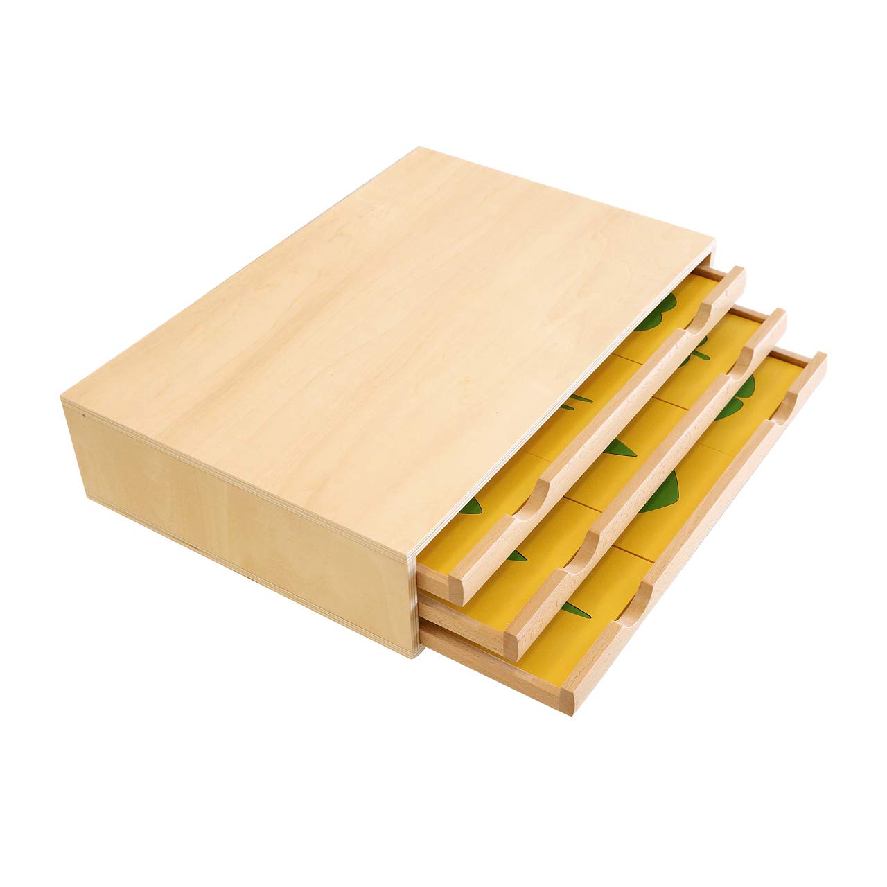Montessori Botany Cabinet - Wooden Plant Puzzle for Kids, Educational Learning Toy for Preschool Classroom & Homeschool (Perfect for Nature Study, Science Activities)
