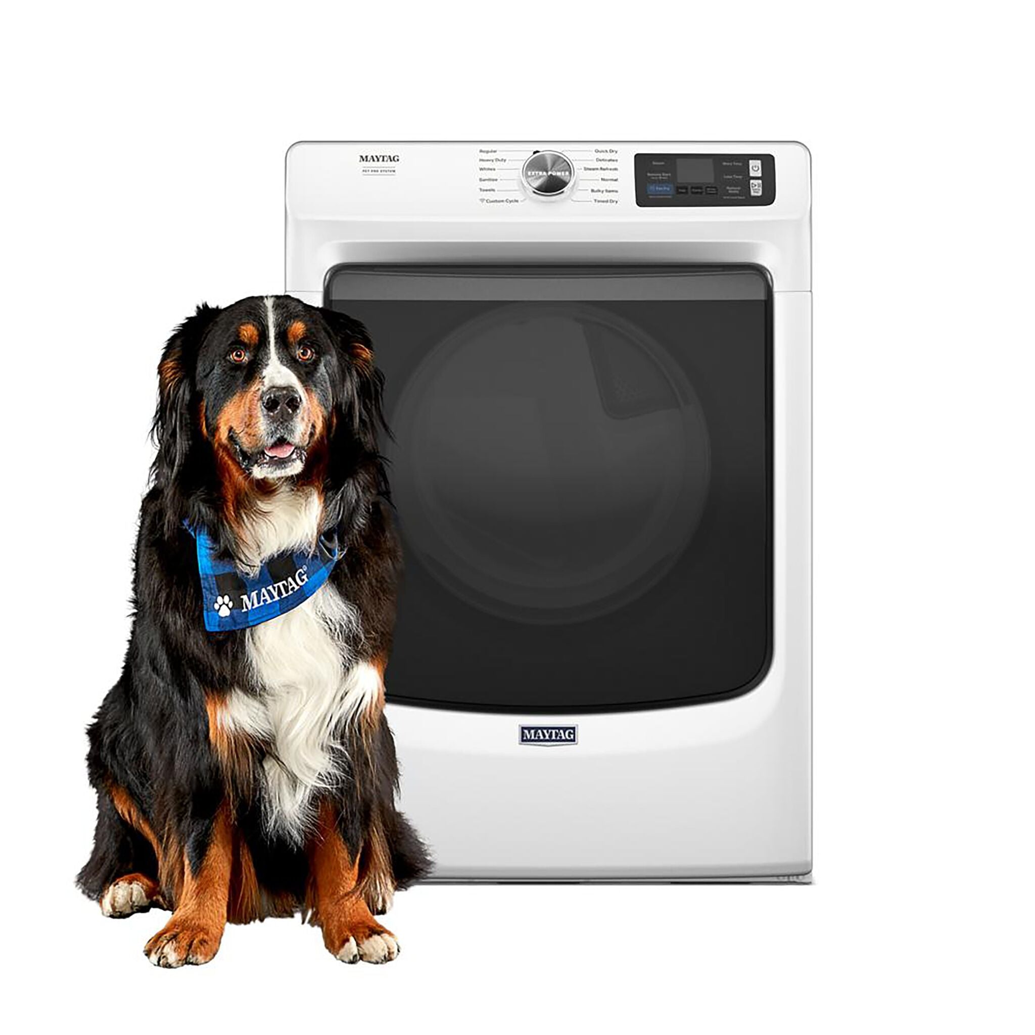 Maytag 7.4 Cu.Ft. White Gas Dryer with Pet Pro System - MGD7020RW - Large Capacity Laundry Solution for Pet Owners & Busy Families