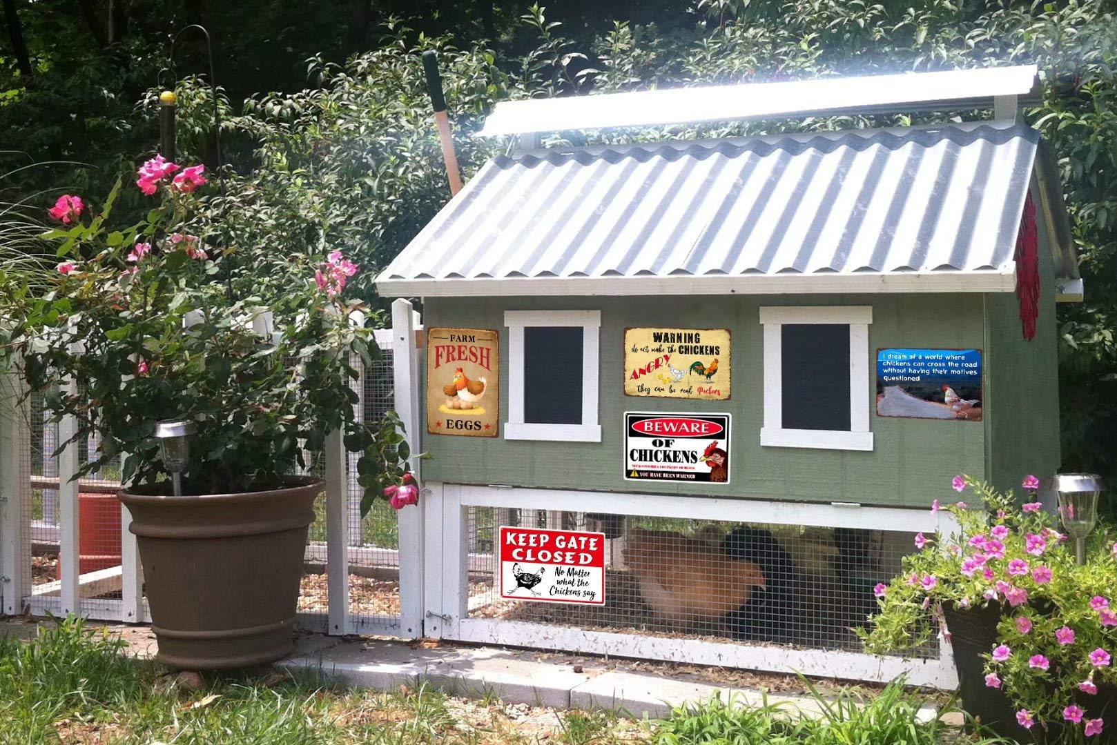 Funny Beware of Chickens Warning Sign - 8