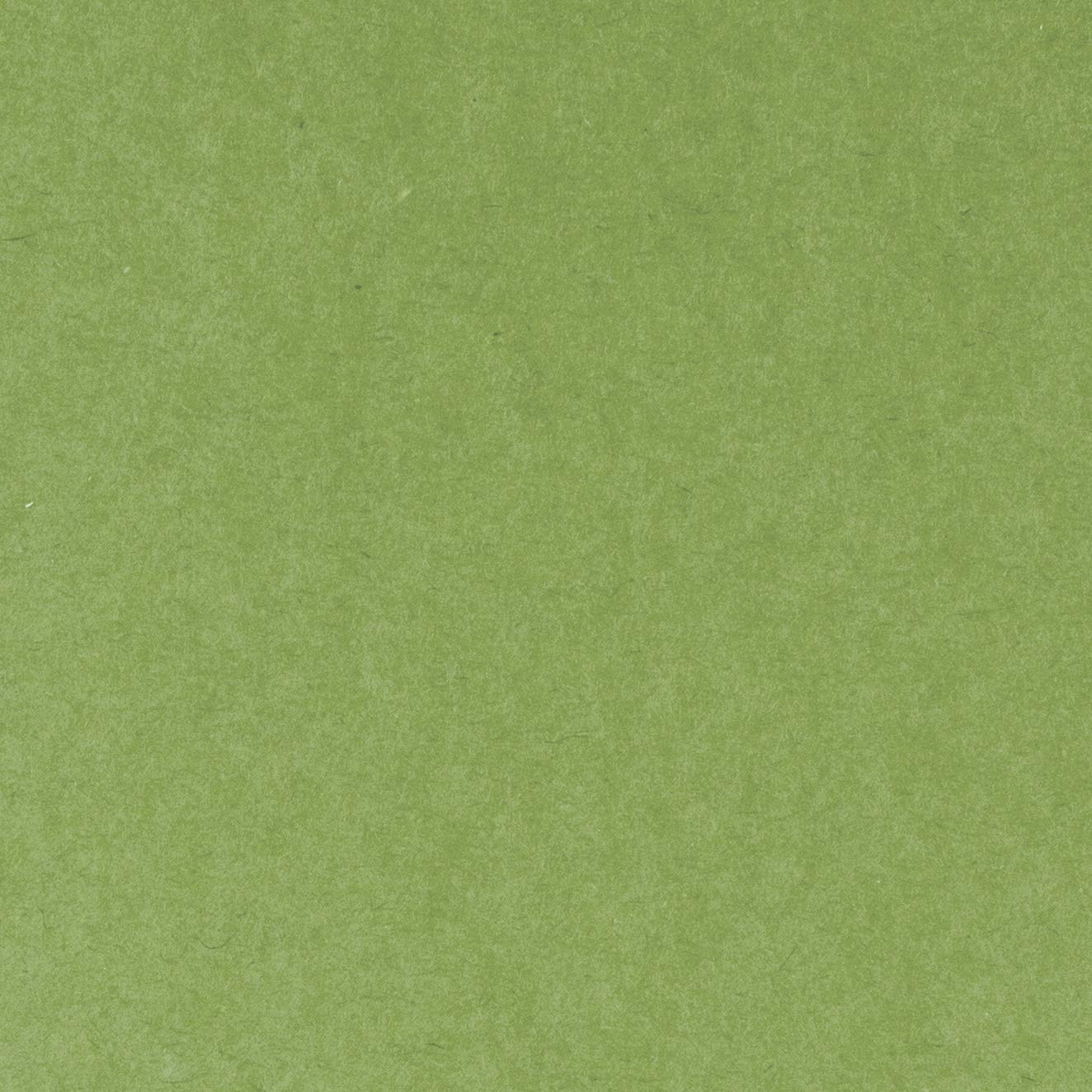 Premium Hero Hues Meadow Cardstock Paper for Card Making & Scrapbooking - 65lb Heavyweight Textured Cardstock by Hero Arts (PS328) - Perfect for DIY Greeting Cards, Invitations, and Paper Crafts