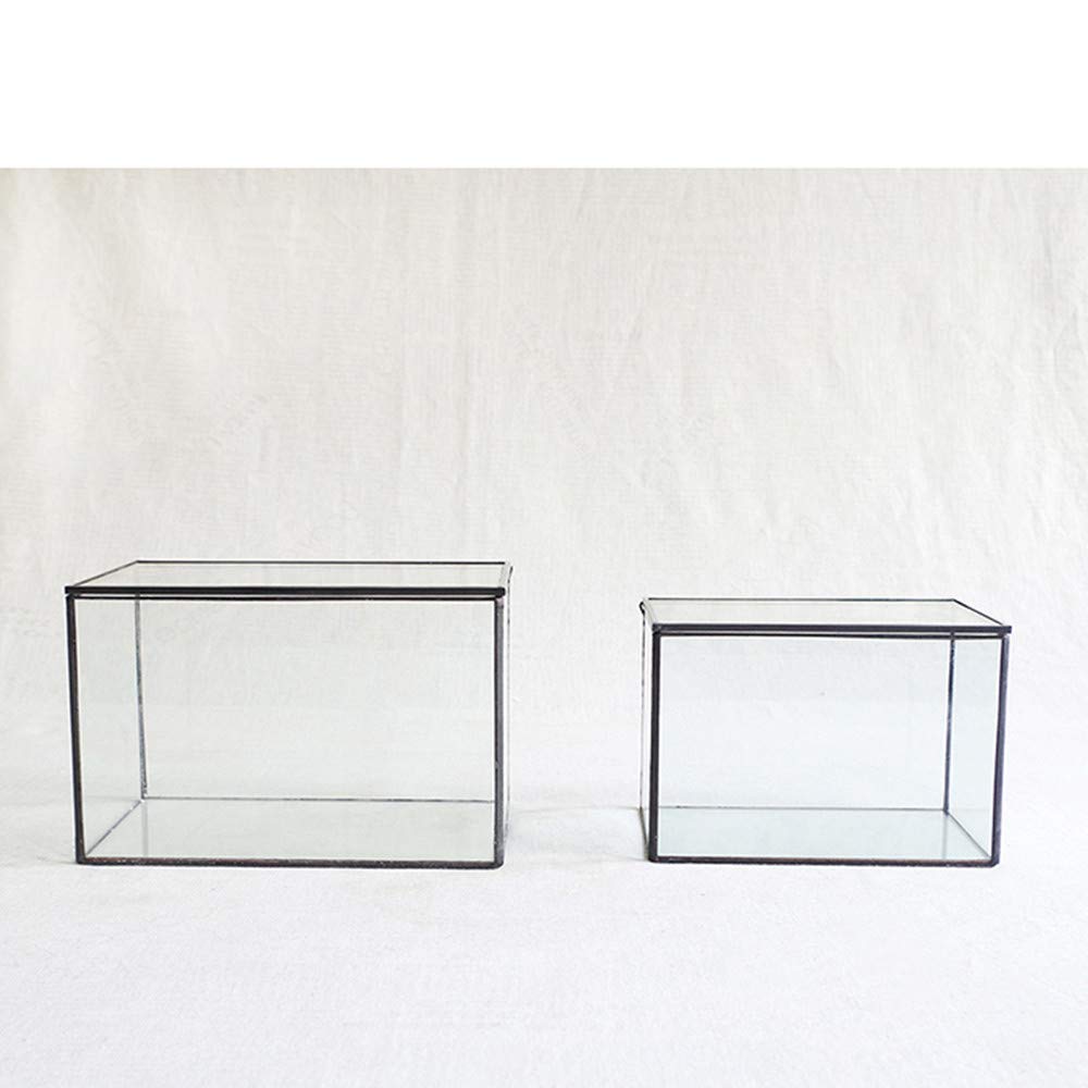 Modern Geometric Glass Terrarium with Lid - 8.3