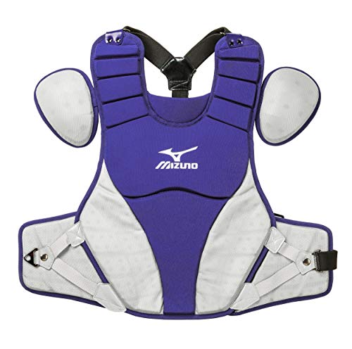 Purple/Grey