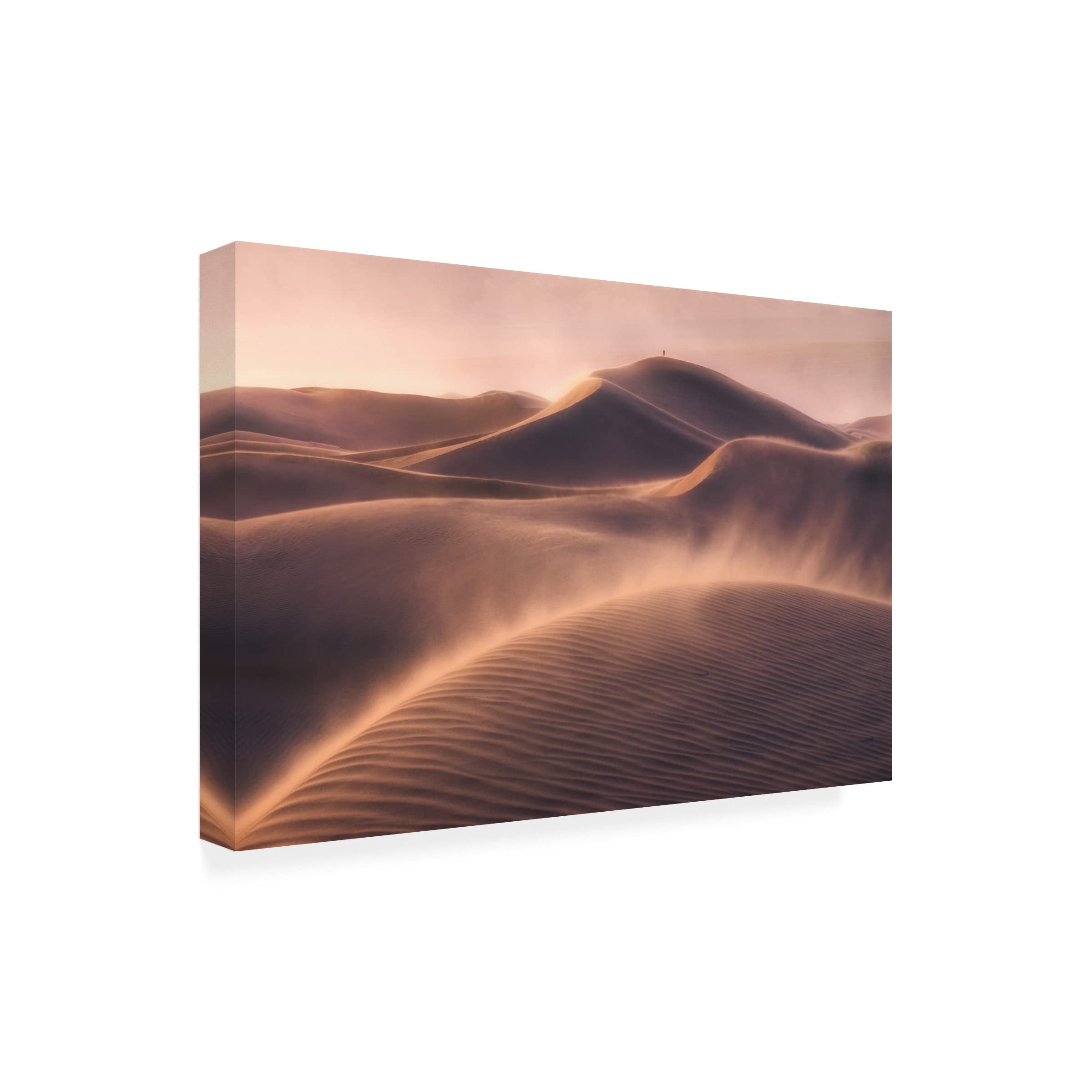 Trademark Fine Art 'Viento De Arena' Canvas Wall Art Print by Inigo Cia - Desert Wind Landscape Painting for Living Room, Bedroom & Office Decor