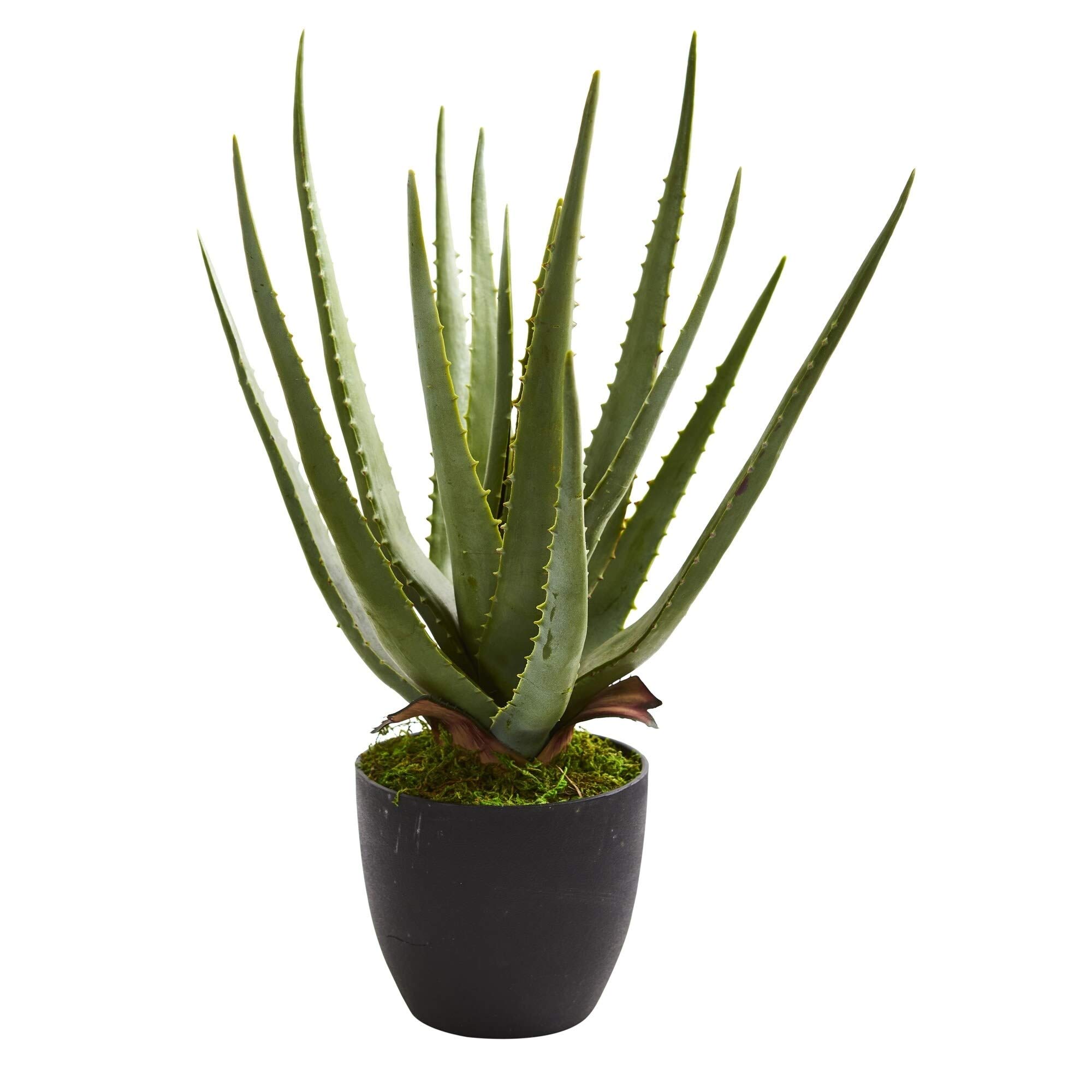 Realistic Aloe Vera Artificial Plants (Set of 2) - Low Maintenance Home Decor for Living Room, Office, or Bathroom