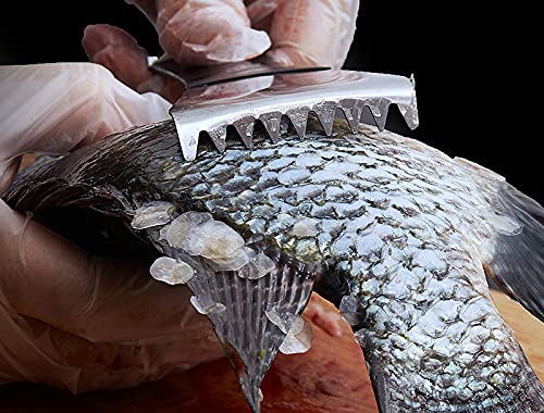 WOIWO Stainless Steel Fish Scale Scraper - Manual Multi-Purpose Tool for Scaling, Gill Cutting & Fish Cleaning - Perfect for Home Kitchen, Fishing Trips & Outdoor Cooking
