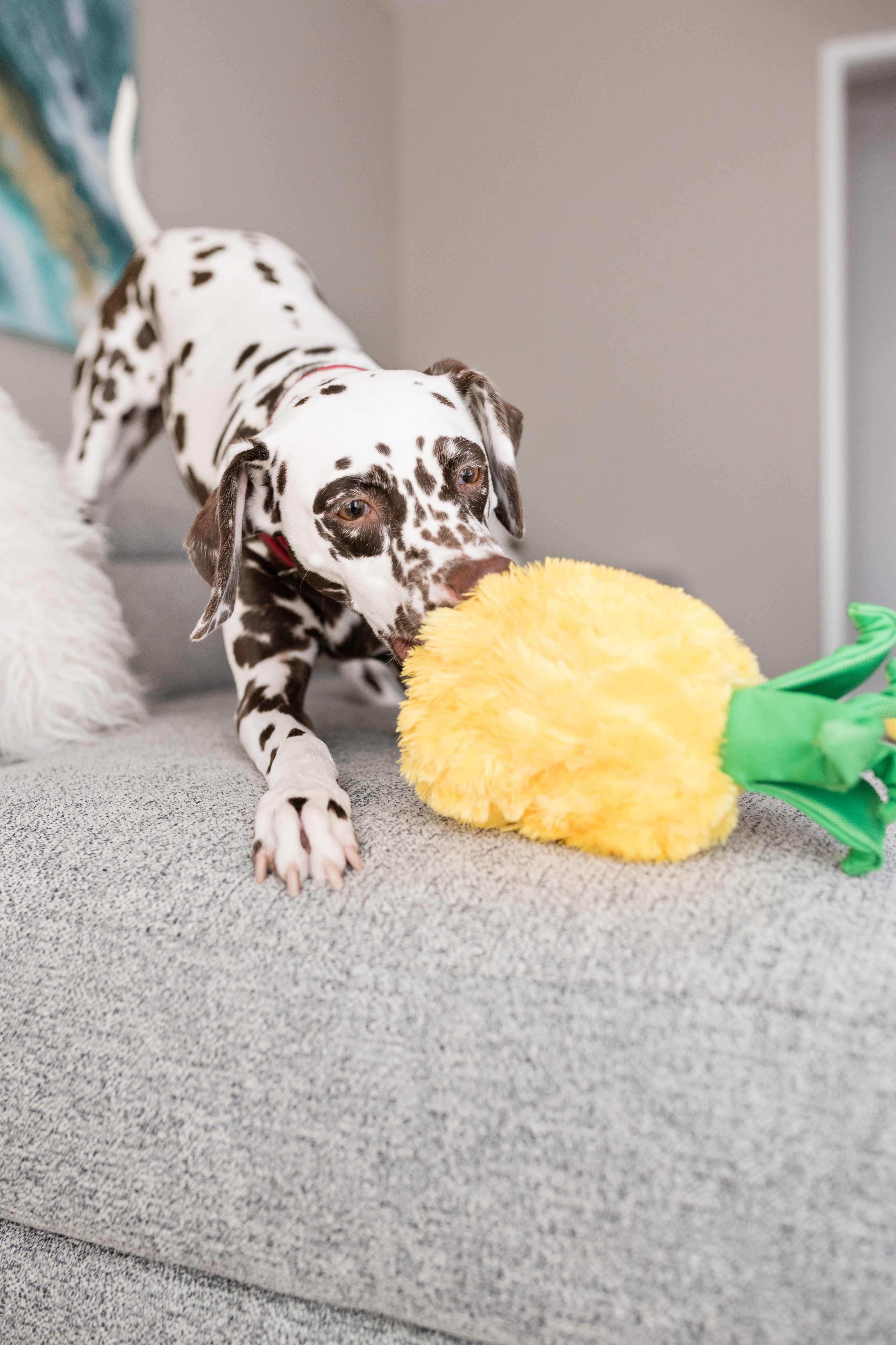 Tropical Paradise™ Dog Plush Toy - La Piña Chew Toy for Dogs | Soft & Durable Pet P.L.A.Y. Puppy Toy | Perfect for Playtime, Training & Cuddling