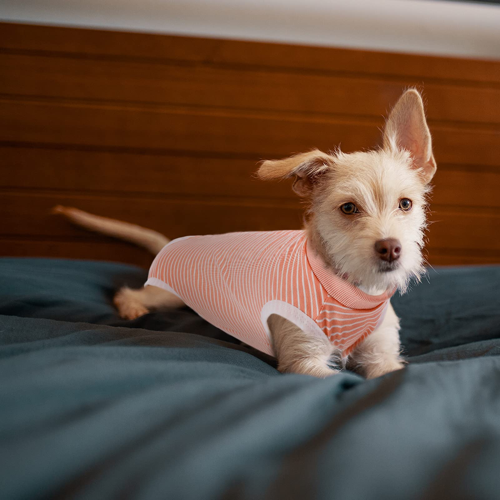 SAWMONG Dog Recovery Suit - Post-Surgery Surgical Suit for Female & Male Dogs | Soft Alternative to E-Collar Cones | Pink X-Small | Perfect for Spay/Neuter Recovery & Wound Protection