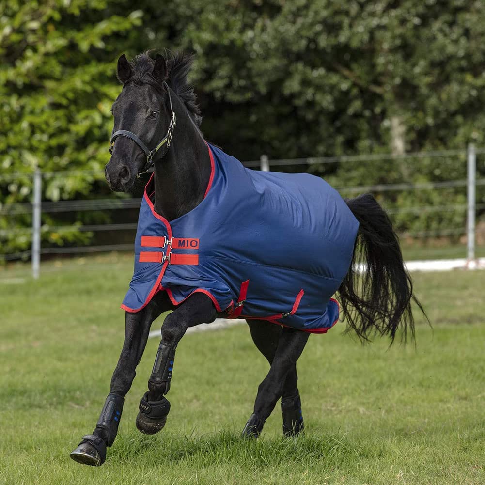 Mio® Turnout 200g Medium Weight Riding Jacket - Waterproof Equestrian Coat for Horseback Riding & Outdoor Activities