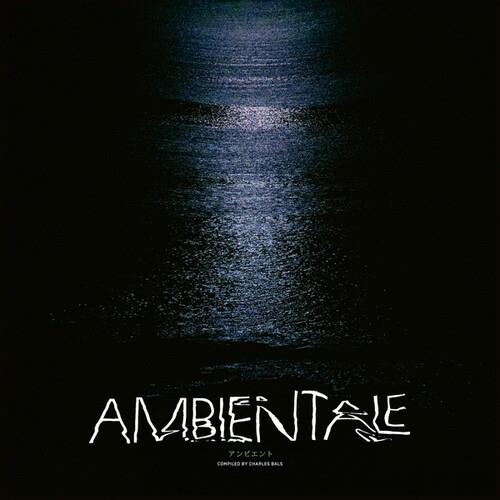 Ambientale (Compiled by Charles Bals) Vinyl LP Record - Perfect for Relaxation, Meditation & Home Decor