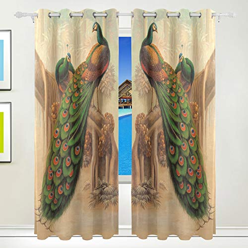 Peacock 053