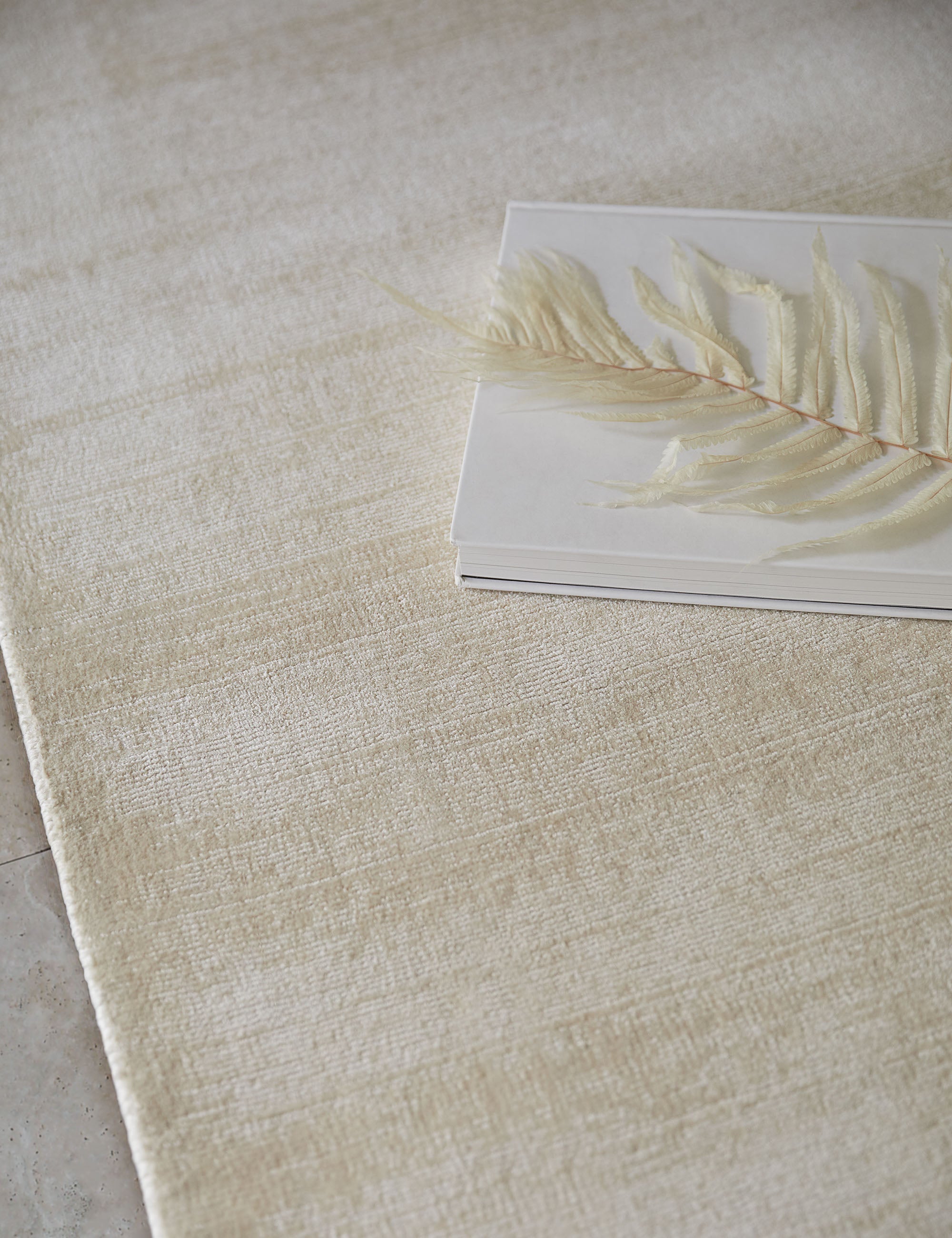 Hand Knotted Ivory Rug Swatch 12x12 Inches - Premium Quality Wool Carpet Sample for Living Room, Bedroom & Home Decor | Dylan Collection