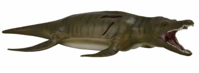 CollectA Pliosaurus Dinosaur Toy Figurine - Realistic Prehistoric Marine Reptile Model for Kids, Collectors & Dinosaur Enthusiasts - Perfect for Educational Play, Display & Diorama Scenes