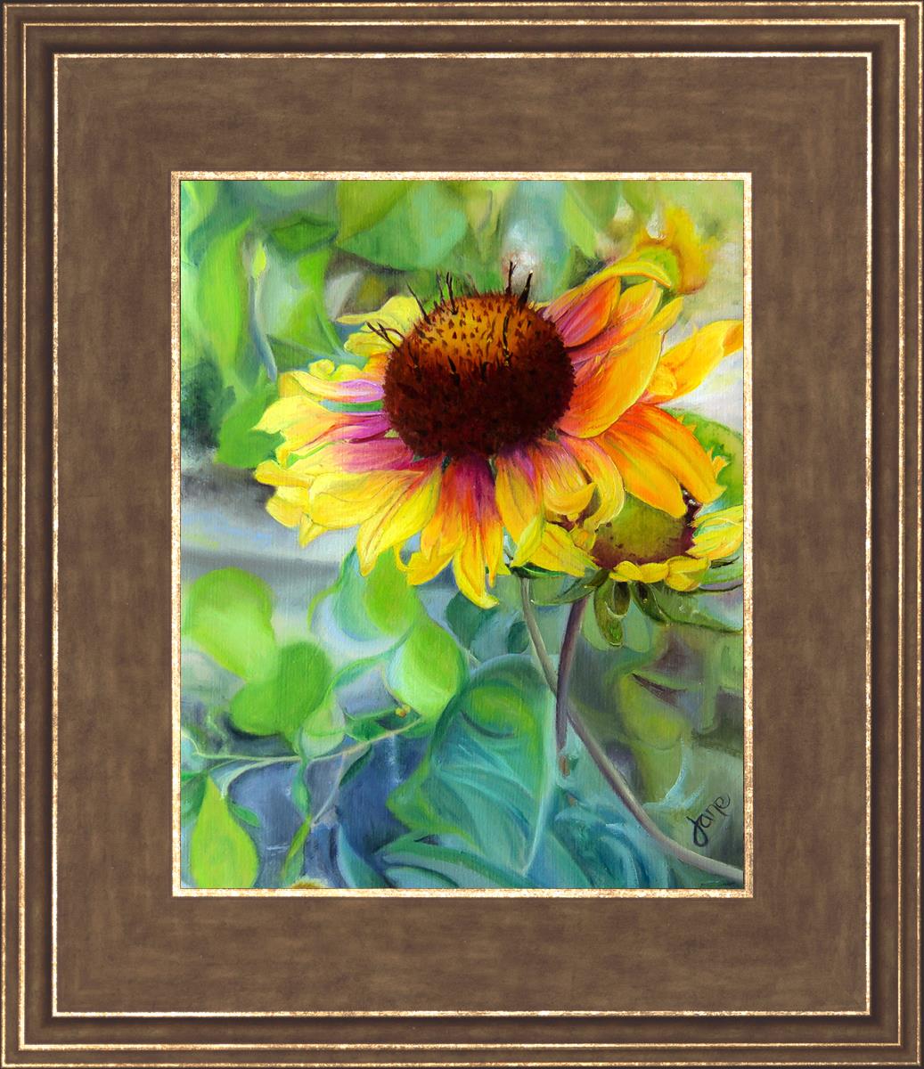 Vibrant Indian Blanket Flower Seeds - Gaillardia Pulchella for Colorful Garden Borders & Pollinator-Friendly Landscapes