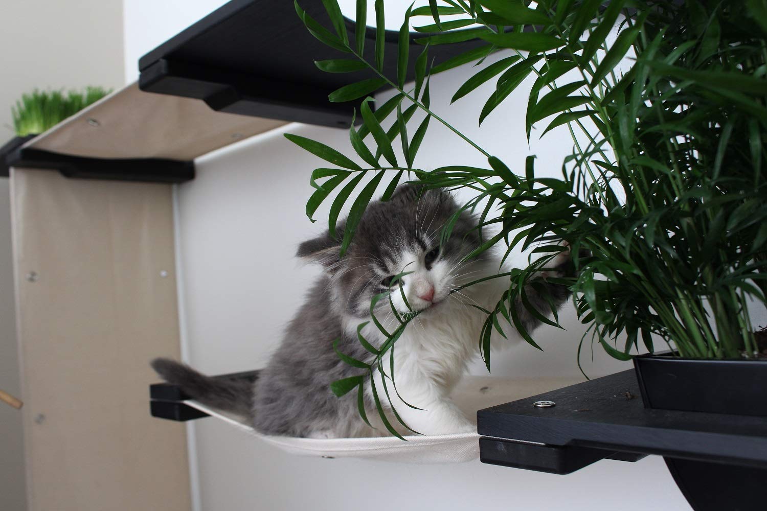 Multi-Level Cat Hammock & Climbing Wall Shelf - Space Saving Cat Activity Center with Scratching Posts, English Chestnut/Charcoal - Perfect for Indoor Cats, Small Apartments & Wall-Mounted Play Areas