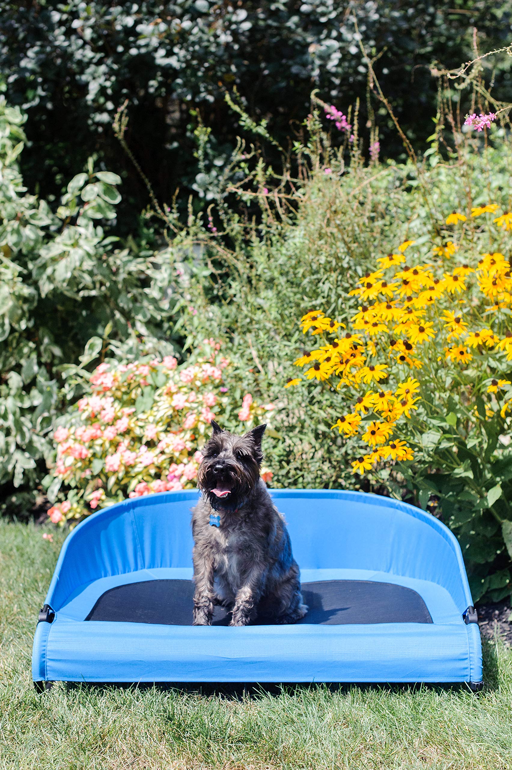 Gen7Pets Trailblazer Cool-Air Elevated Dog Bed - Large Size for Medium to Large Dogs - Perfect for Outdoor Adventures, Camping & Hot Weather Use