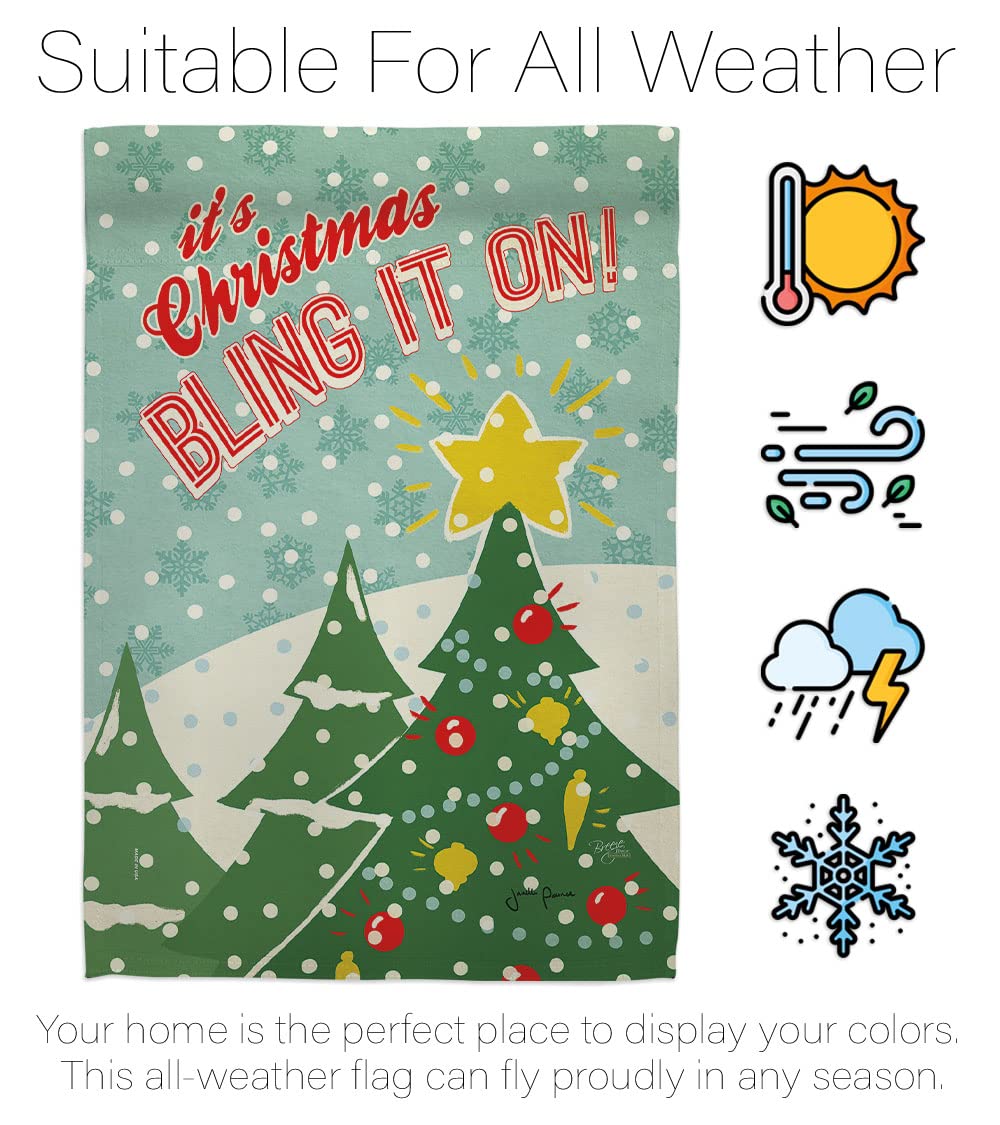 Bling It On Winter Christmas Flag Set 28x40