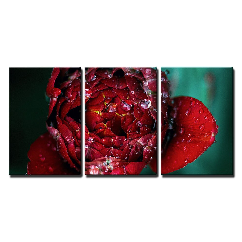 Wall26 - 3 Piece Canvas Wall Art Set - Stunning Red Flower with Raindrops Painting - Modern Framed Home Decor for Living Room, Bedroom & Office - Ready to Hang 16