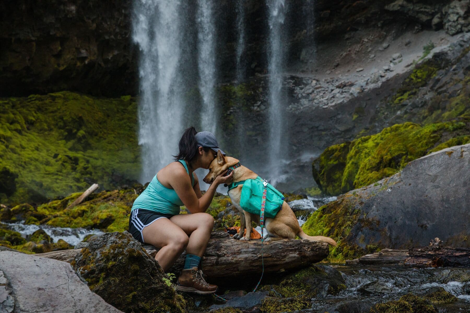 Ruffwear Mexico - Nature-Inspired Flat Collar with Spring Burst Design | Durable & Adjustable Dog Collar for Hiking, Camping & Outdoor Adventures