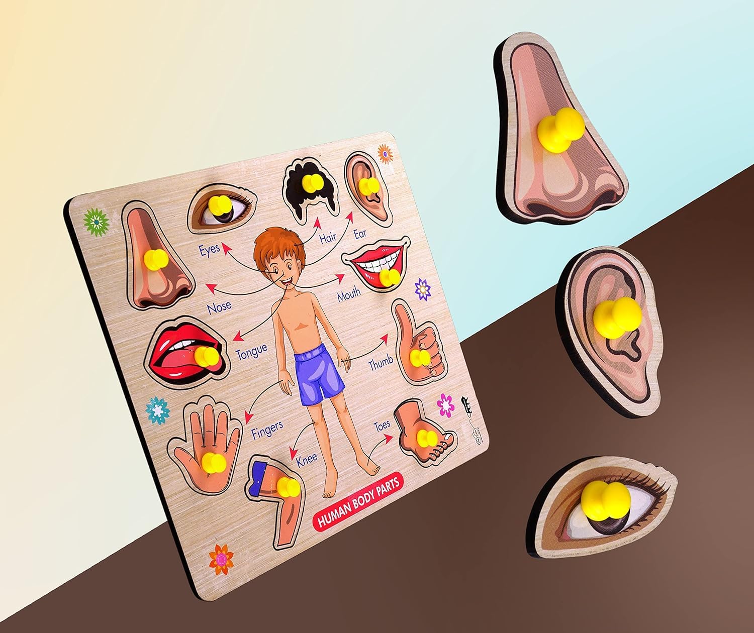 RiansCart Human Body Parts Wooden Jigsaw Puzzle - Educational Anatomy Learning Toy for Kids & Toddlers | Preschool STEM Activity, Classroom Teaching Aid & Homeschool Science Kit